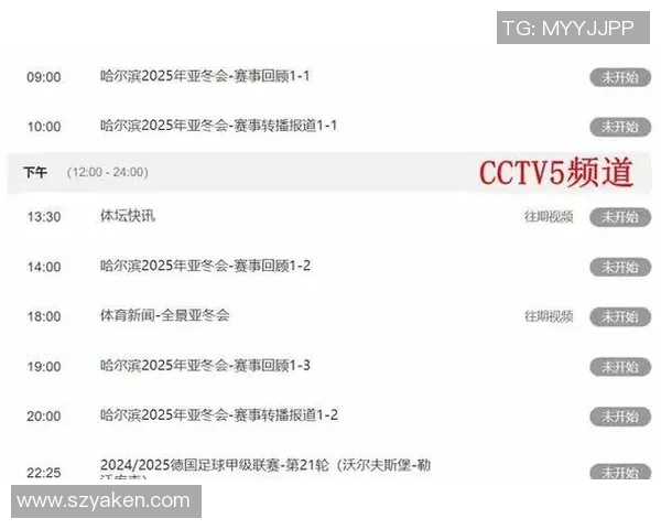 重庆排球队战术表现深度解析与大满贯赛事的精彩对决